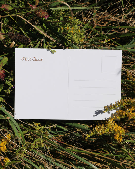 Apple Time Post Card