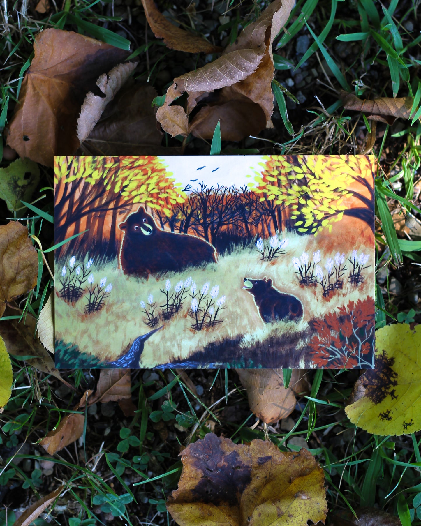 Bears In A Field Post Card