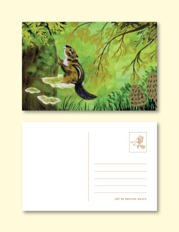 The Lush Spring Post Card