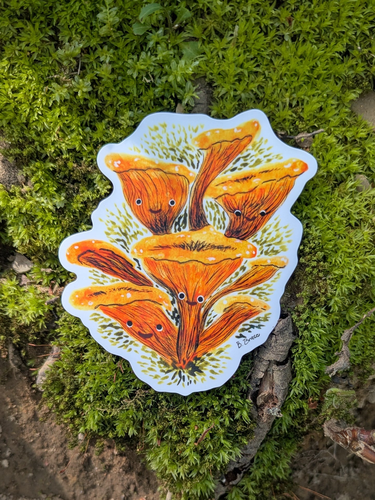 Chanterelle Sticker