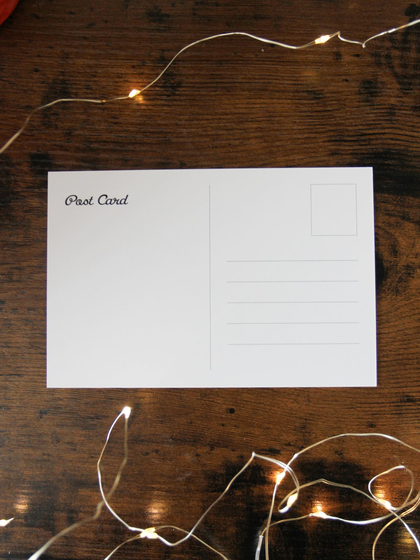 Cozy Raccoon Post Card