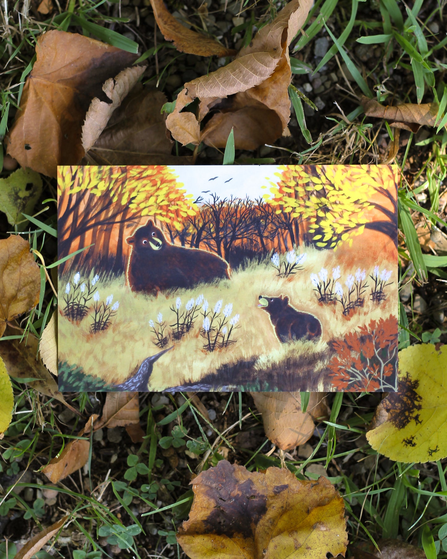 Bears In A Field Post Card