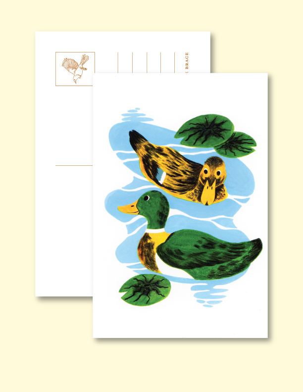 Mallard Pond Post Card