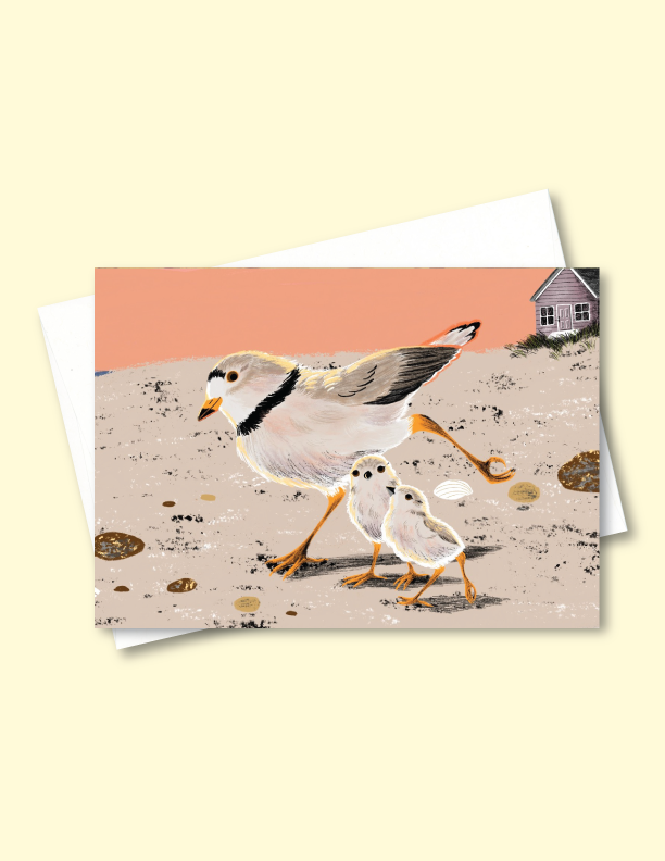 Piping Plovers on Presque Isle Greeting Card