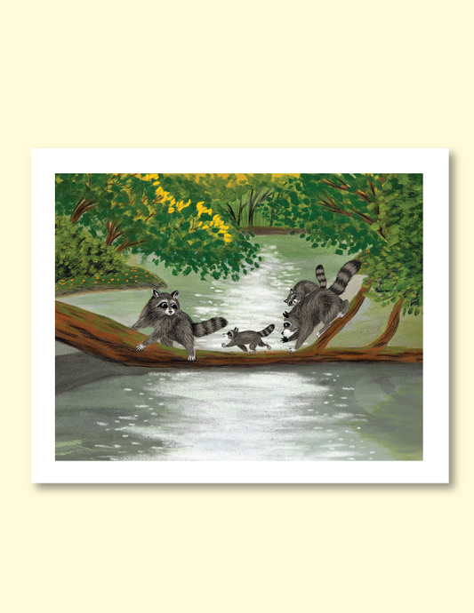 The Raccoon Family