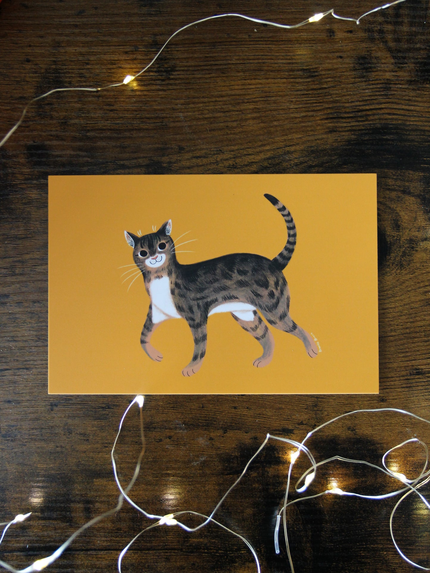 Tabby Cat Post Card